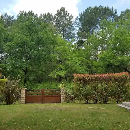 Chalet Sur Bassin D'arcachon Dans Prl 4*